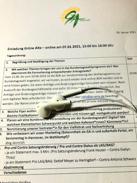 Wahlprogramm, Vielfaltsrat, Marketing, Grüne Alte als LAG?