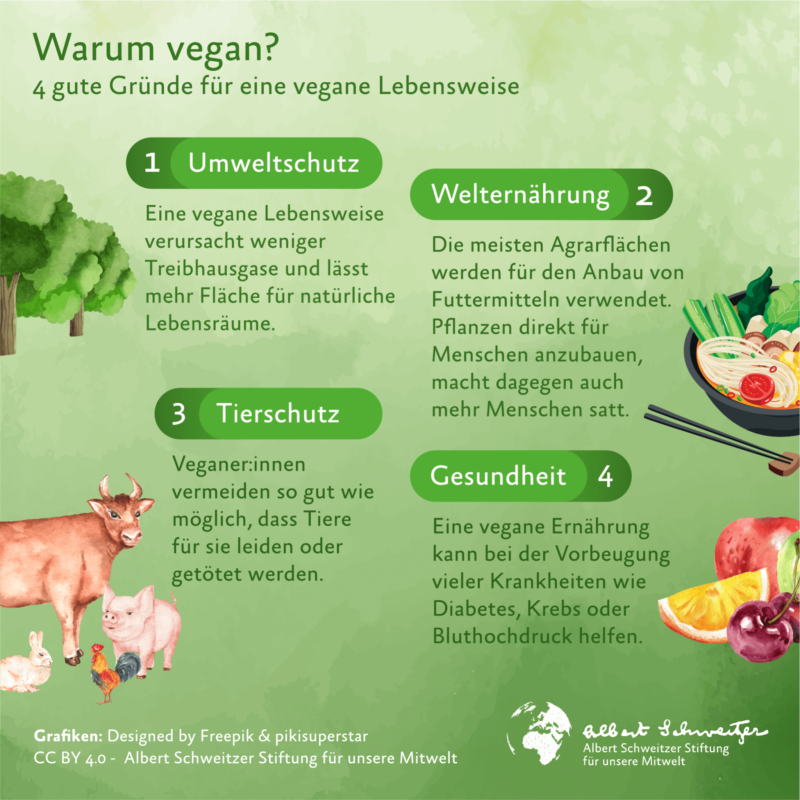 Vier gute Gründe für eine vegane Lebensweise