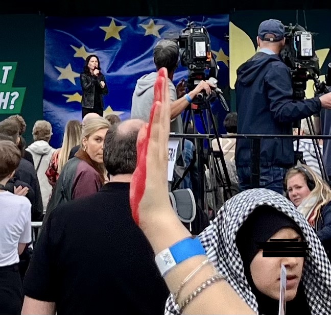 Ein Positionspapier der Europäischen Green Seniors zu Gaza
